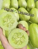 玉女水果黄瓜（5斤/箱） 商品缩略图0