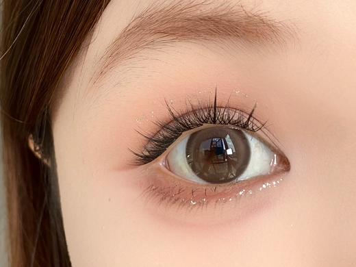 Toffee日抛--肉肉蜜棕 商品图5