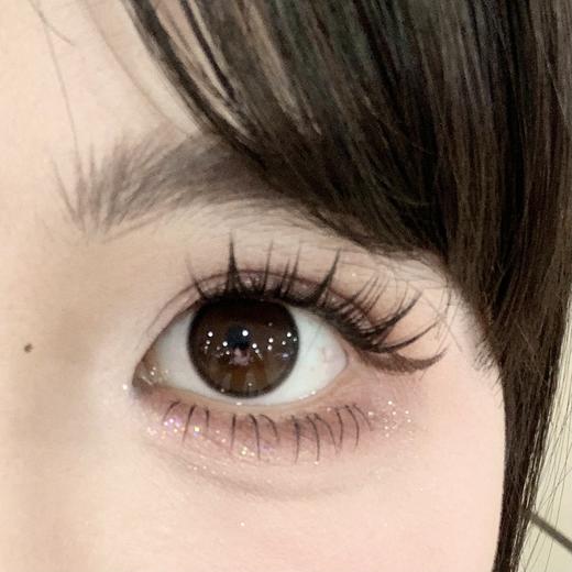 Toffee日抛--失落世界 商品图4