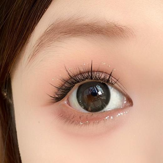 Toffee日抛--泥泥黑灰 商品图5