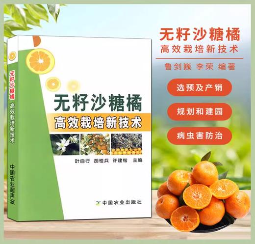 无籽砂糖橘高效栽培新技术【官方正版，可开发票，下单时留开票信息和电子邮箱】 商品图0