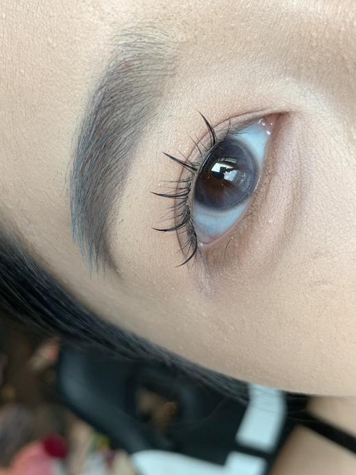 Toffee日抛--仲夏夜之梦 商品图10