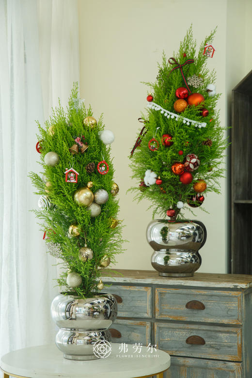 氛围感香松1.1m（颜色随机） 商品图5