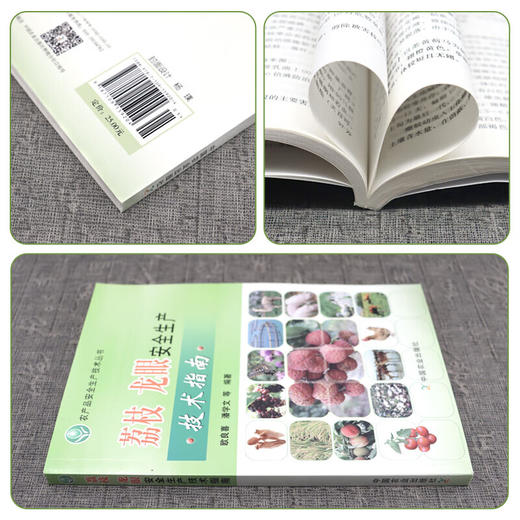 荔枝 龙眼安全生产技术指南【官方正版，可开发票，下单时留开票信息和电子邮箱】 商品图1