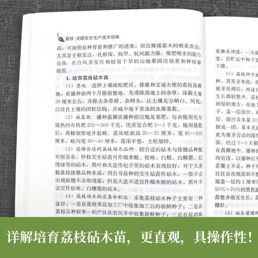 荔枝 龙眼安全生产技术指南【官方正版，可开发票，下单时留开票信息和电子邮箱】 商品图3