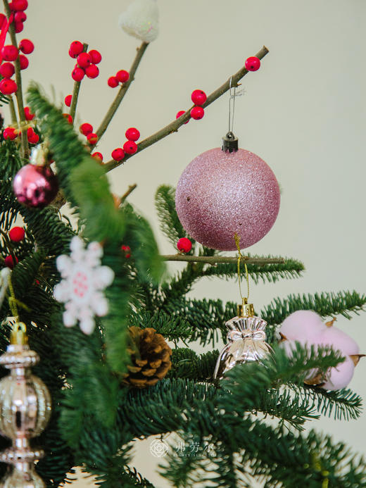 圣诞草莓花（粉草莓） 商品图4