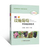 图解设施葡萄早熟栽培技术【官方正版，可开发票】 商品缩略图4