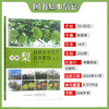 图解梨优质安全生产技术要领（第二版）【官方正版，可开发票，下单时留开票信息和电子邮箱】 商品缩略图1