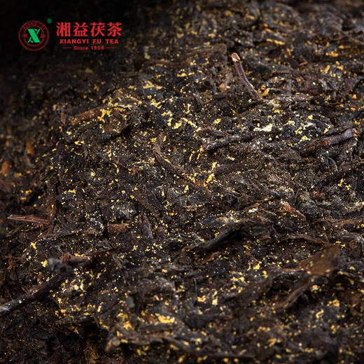 茯砖黑茶 | 湘益 2024年龙年生肖茶 金花茯茶 2kg 商品图3