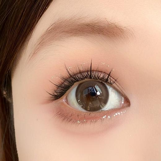 Toffee日抛--肉肉蜜棕 商品图6