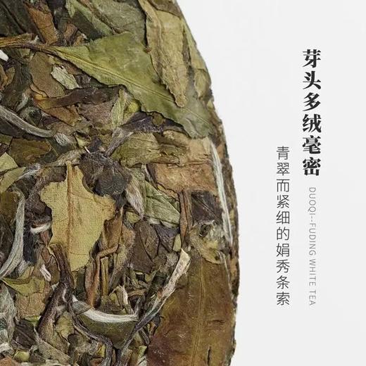 福鼎白茶 | 东南多奇2018年孔雀饼白牡丹300g/饼 商品图2