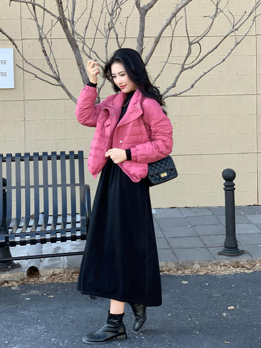 【百图lulu定制】【桃之夭夭羽绒服】夹克版型  拉链口袋 轻盈版90白鸭绒羽绒服 商品图5