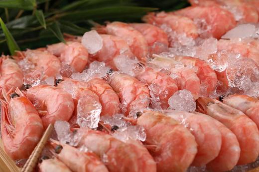 精品-北极甜虾- 商品图4