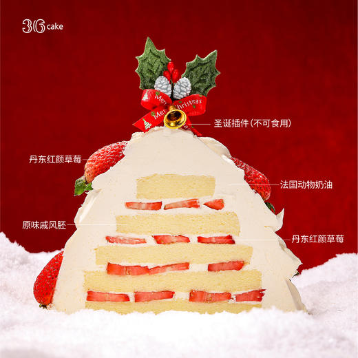 【圣诞季】圣诞树·初雪红颜，可选2磅 商品图4