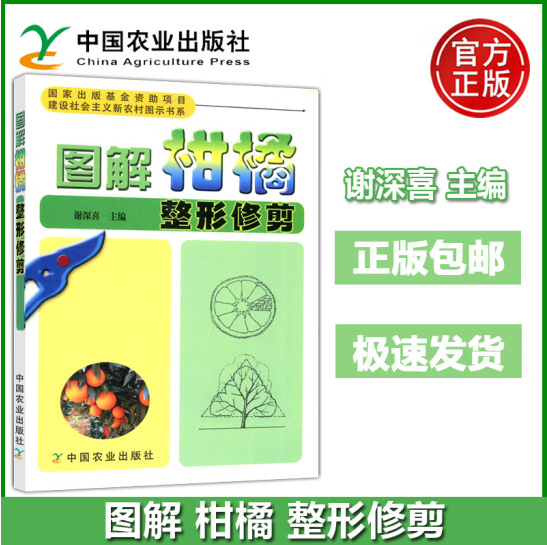 图说柑橘整形修剪