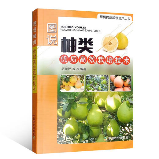图说柚类优质高效栽培技术【官方正版，可开发票，下单时留开票信息和电子邮箱】 商品图4