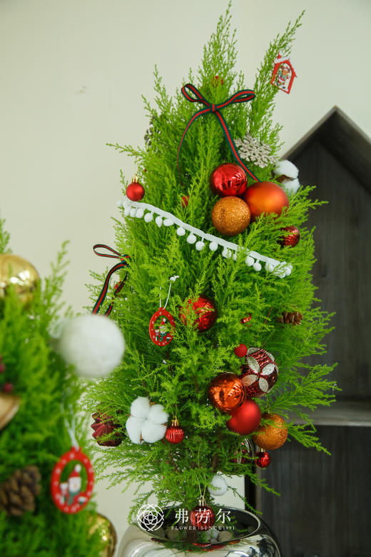 氛围感香松1.1m（颜色随机） 商品图6