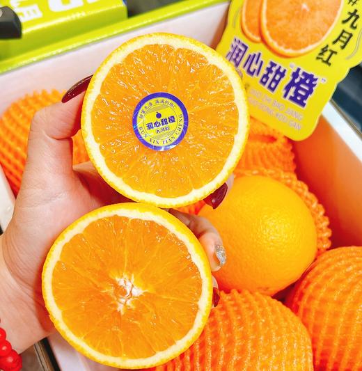 润心甜橙  | 水果 商品图0