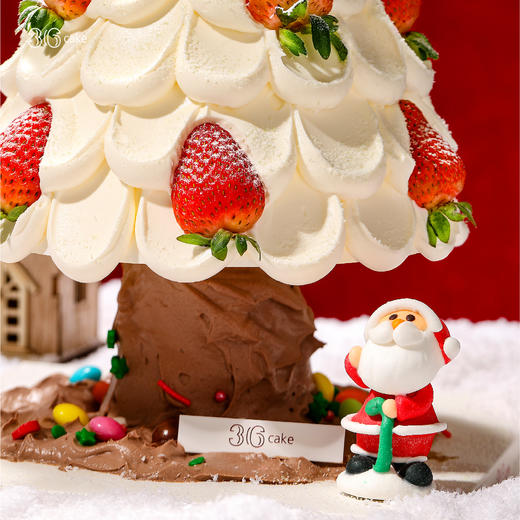 【圣诞季】圣诞树·初雪红颜，可选2磅 商品图2