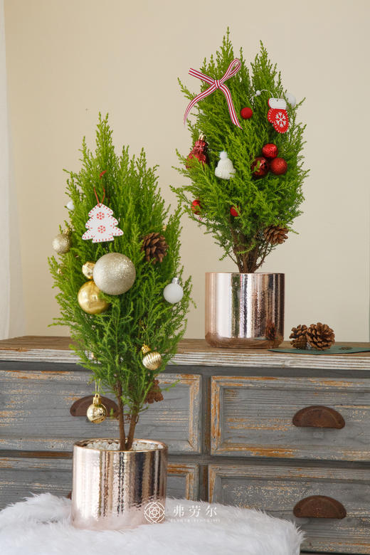 圣诞香松树中号（款式/颜色随机） 商品图2