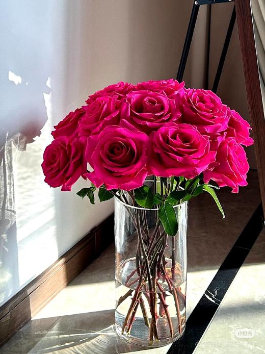 厄瓜多尔进口pink floyd弗洛伊德玫瑰花10支 商品图9