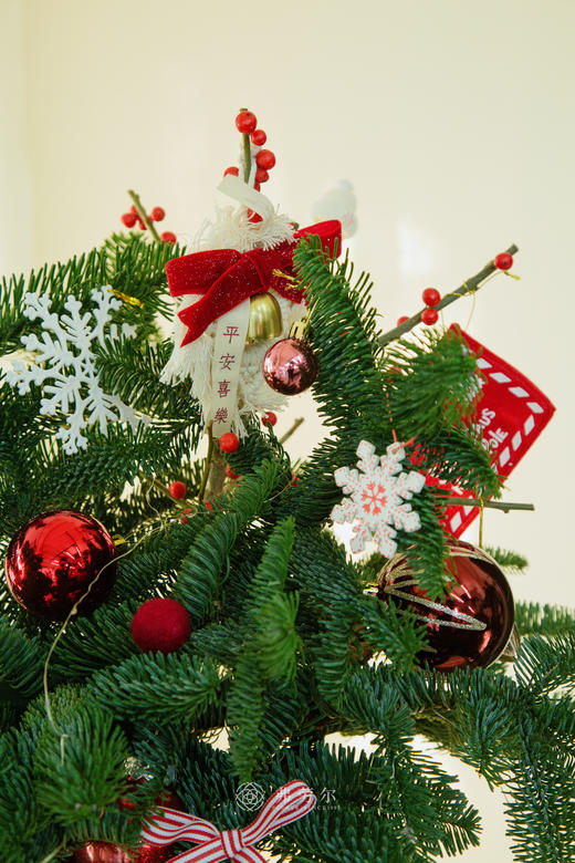 圣诞草莓花（红草莓） 商品图2