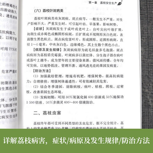 荔枝 龙眼安全生产技术指南【官方正版，可开发票，下单时留开票信息和电子邮箱】 商品图2