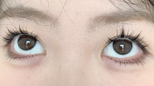 Toffee日抛--失落世界 商品图7