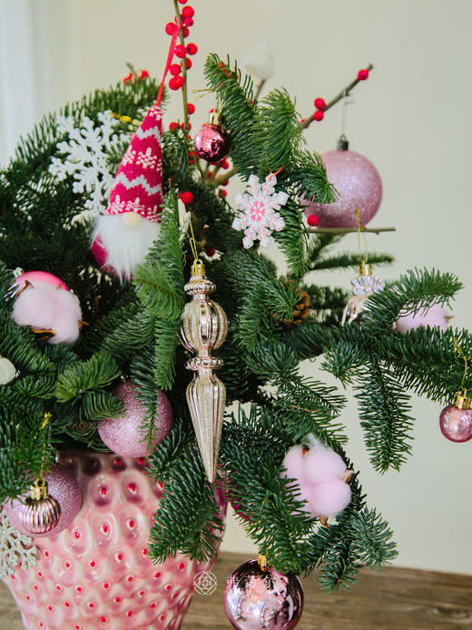 圣诞草莓花（粉草莓） 商品图1