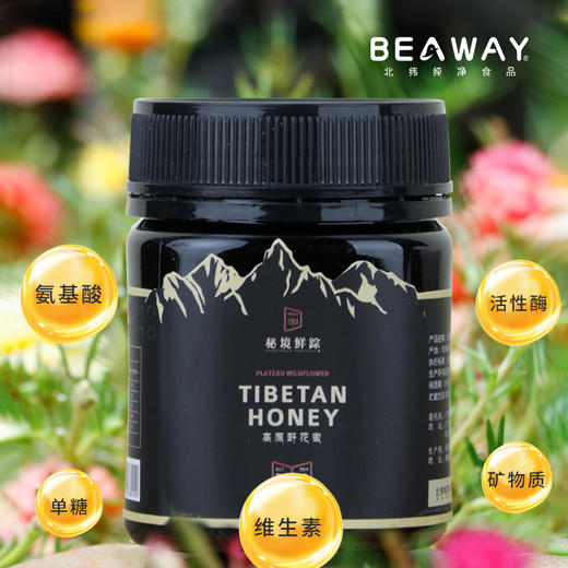 北纬纯净食品|38°高原野花蜜正宗藏蜜 原蜜蜂蜜250g 商品图0