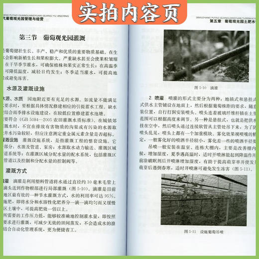 现代葡萄观光园管理与经营【官方正版，可开发票，下单时留开票信息和电子邮箱】 商品图4