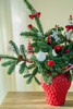 圣诞草莓花（红草莓） 商品缩略图1
