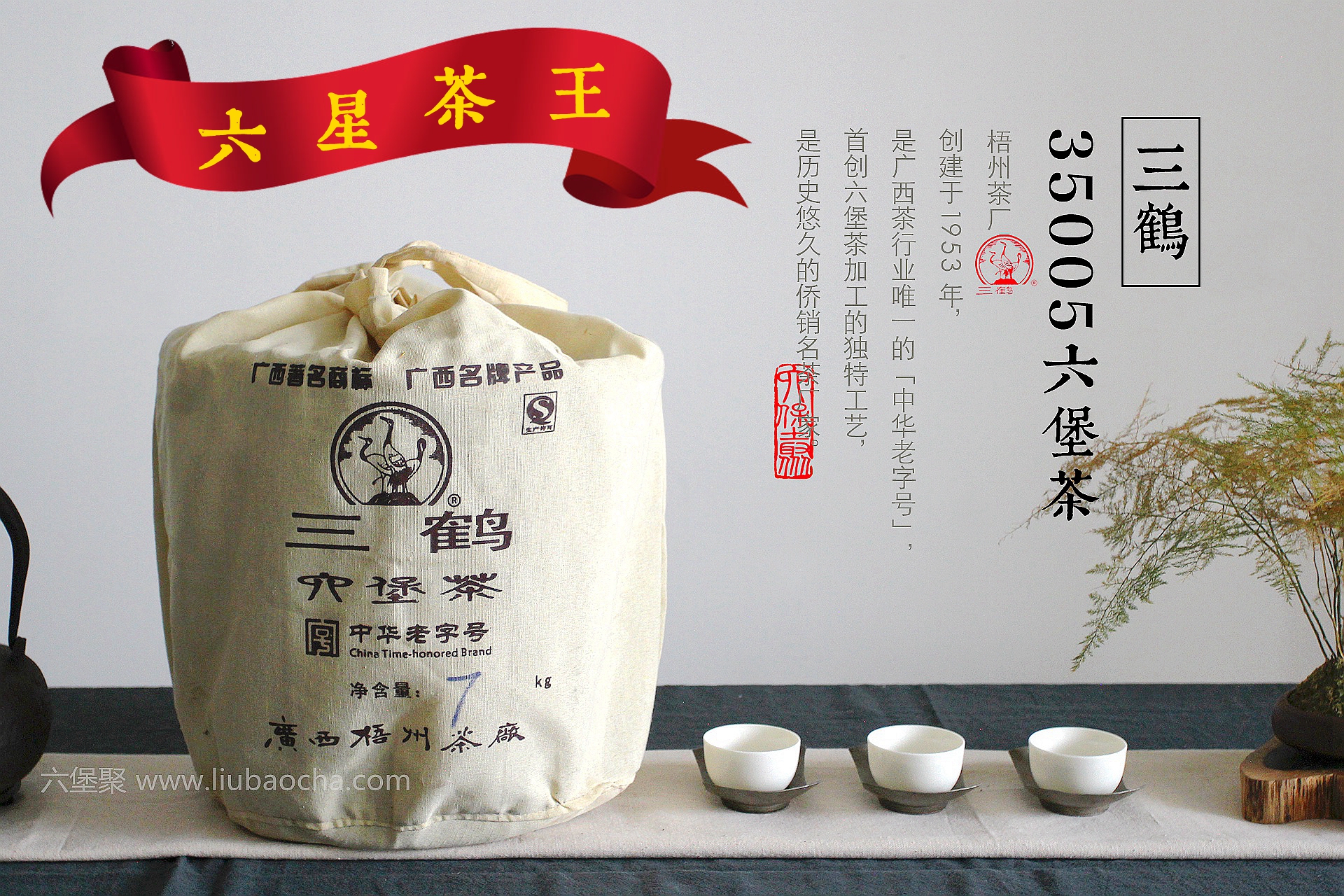 【六星茶王】三鹤六堡茶 2013年 35005 中箩 (2014年包装出厂，7kg）