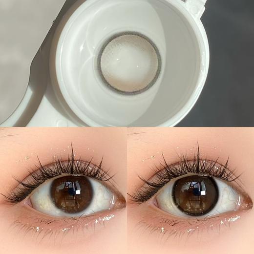 Toffee日抛--失落世界 商品图9