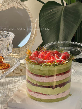 双莓开心果蛋糕