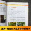 图说柚类优质高效栽培技术【官方正版，可开发票，下单时留开票信息和电子邮箱】 商品缩略图3