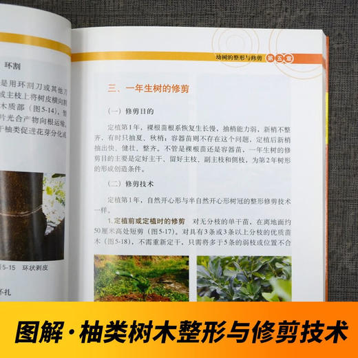 图说柚类优质高效栽培技术【官方正版，可开发票，下单时留开票信息和电子邮箱】 商品图3