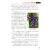 图解设施葡萄早熟栽培技术【官方正版，可开发票】 商品缩略图6