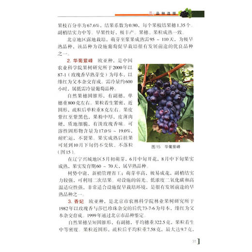 图解设施葡萄早熟栽培技术【官方正版，可开发票】 商品图6