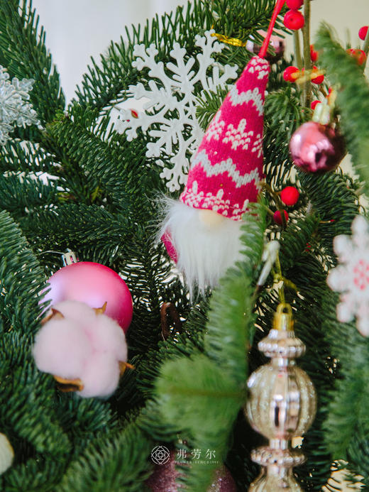 圣诞草莓花（粉草莓） 商品图5