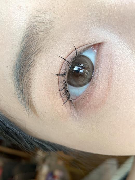 Toffee日抛--肉肉蜜棕 商品图9