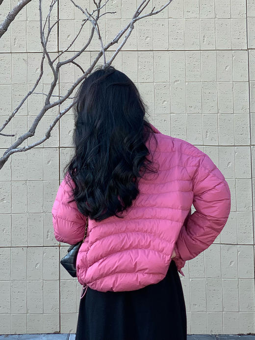 【百图lulu定制】【桃之夭夭羽绒服】夹克版型  拉链口袋 轻盈版90白鸭绒羽绒服 商品图2