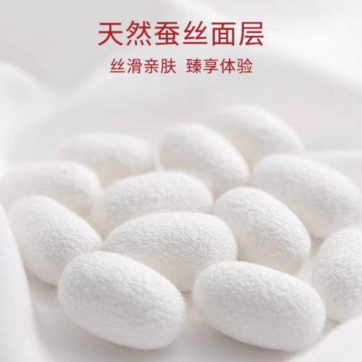 自由点敏感肌夜用卫生巾290mm10片 商品图3