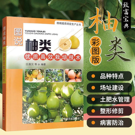 图说柚类优质高效栽培技术【官方正版，可开发票，下单时留开票信息和电子邮箱】 商品图0