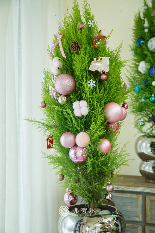 氛围感香松1.1m（颜色随机） 商品图7