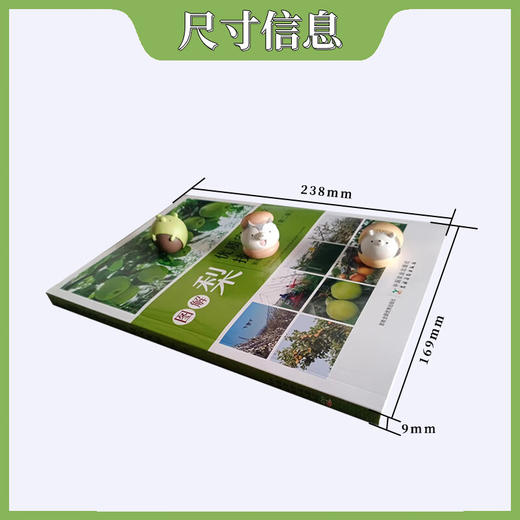 图解梨优质安全生产技术要领（第二版）【官方正版，可开发票，下单时留开票信息和电子邮箱】 商品图3