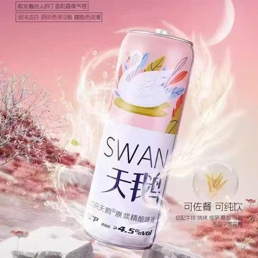 六只天鹅精酿啤酒 酒精度：4.5°麦芽度：13° 商品图2