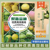 梨新品种优质高效栽培【官方正版，可开发票，下单时留开票信息和电子邮箱】 商品缩略图0