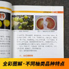 图说柚类优质高效栽培技术【官方正版，可开发票，下单时留开票信息和电子邮箱】 商品缩略图2