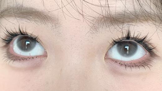 Toffee日抛--浮生后花园 商品图1